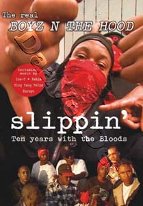 Slippin': Ten Years with the Bloods (DVD)